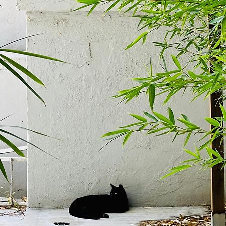 Lisbon Guests Apartments Luaran gambar