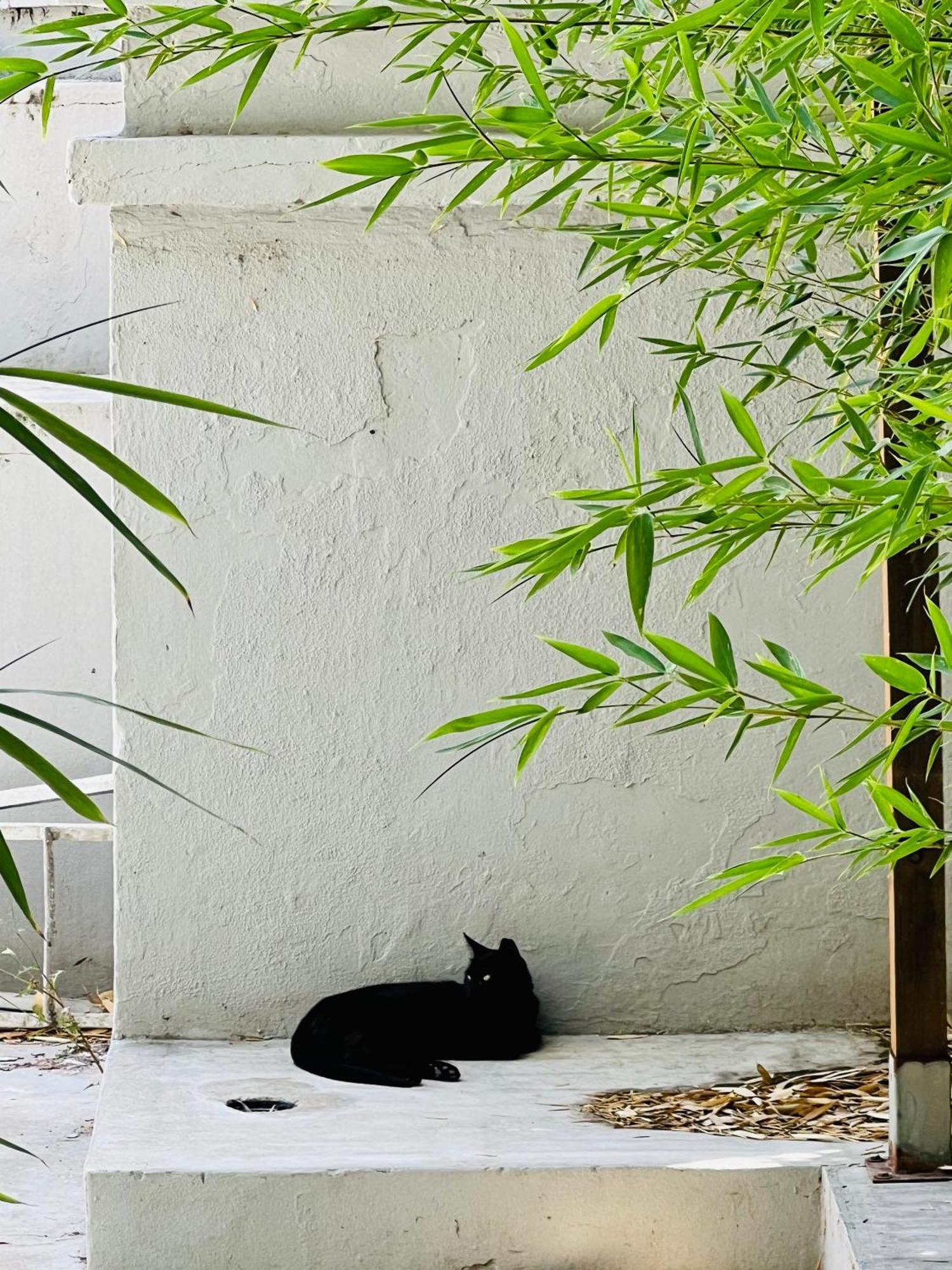 Lisbon Guests Apartments Luaran gambar